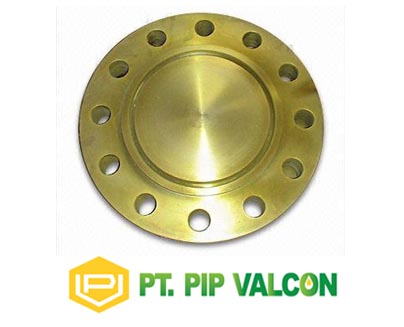 BLIND FLANGE RTJ 900 A105