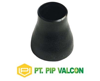 REDUCER Sch.10 Sch.20 Sch.30 Sch.40 Sch.60 Sch.80 Sch.160 Sch.XXS