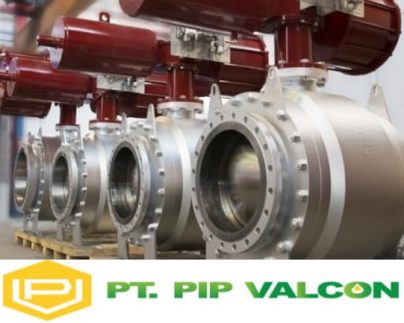 CAST STEEL GATE VALVE